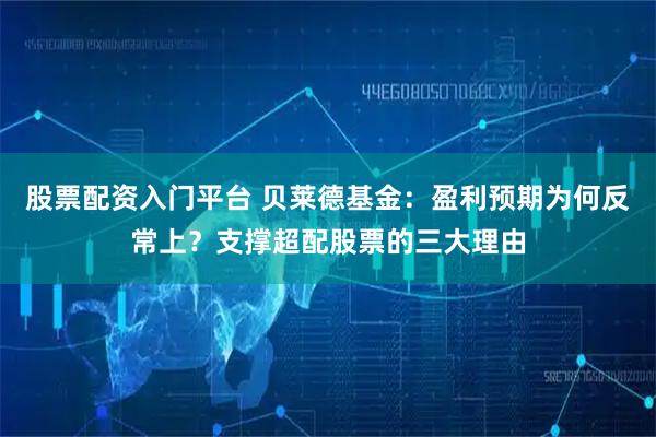 股票配资入门平台 贝莱德基金：盈利预期为何反常上？支撑超配股票的三大理由